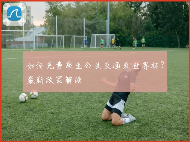 如何免费乘坐公共交通看世界杯？最新政策解读
