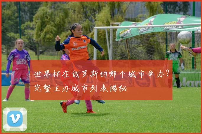 世界杯在俄罗斯的哪个城市举办?完整主办城市列表揭秘