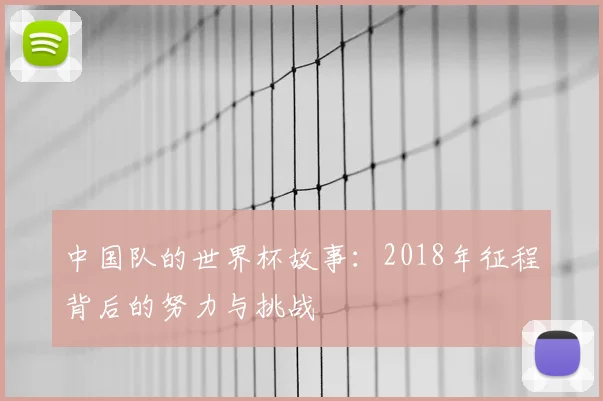 中国队的世界杯故事：2018年征程背后的努力与挑战